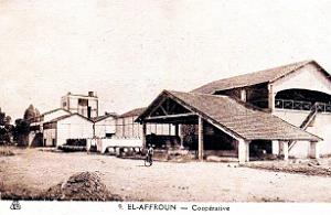 El-Affroun - Cooperative
